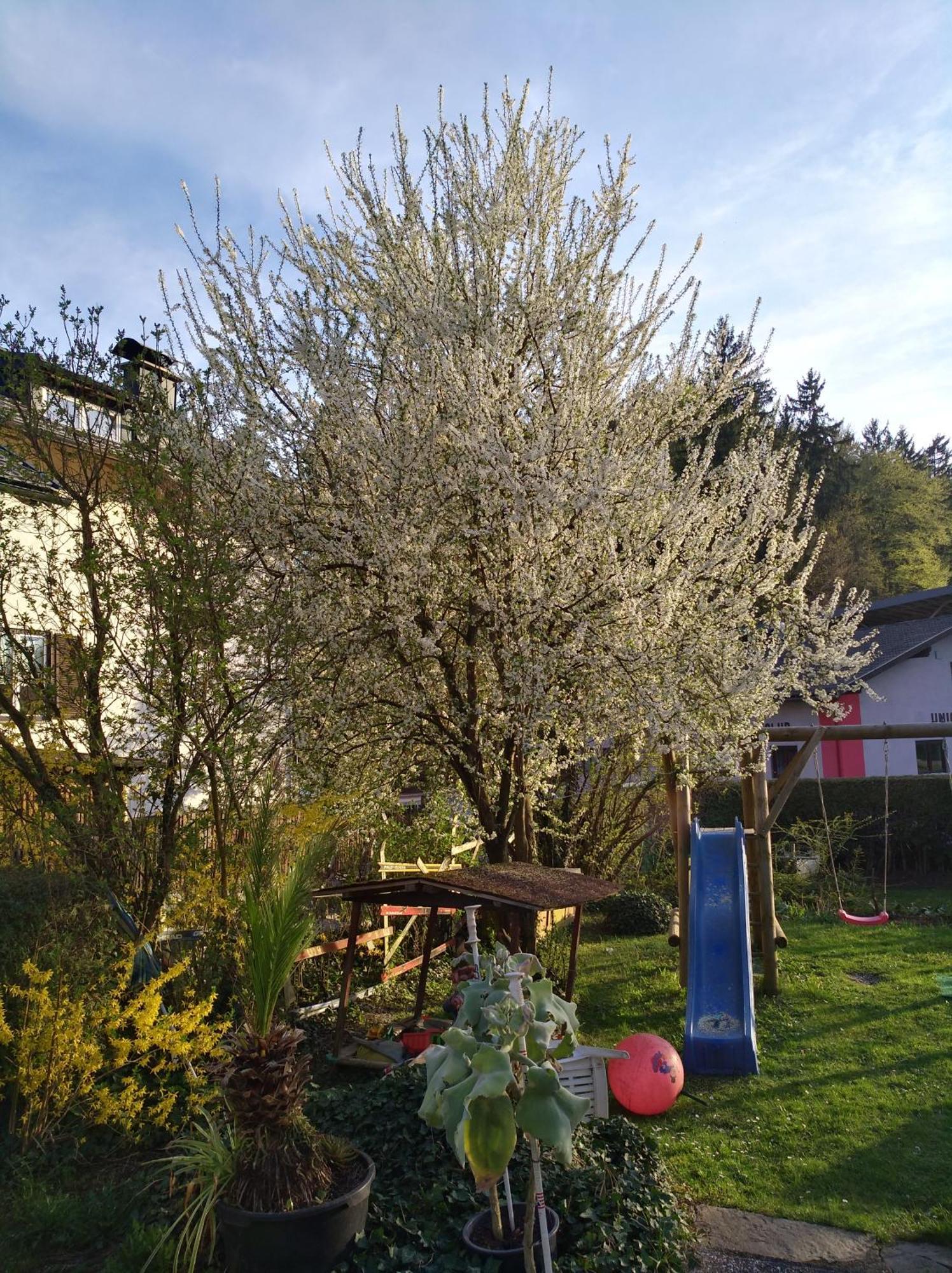 Haus Friedburg Apartment Velden am Wörthersee Екстериор снимка